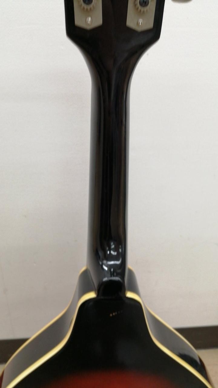 JAGARD Mandolin