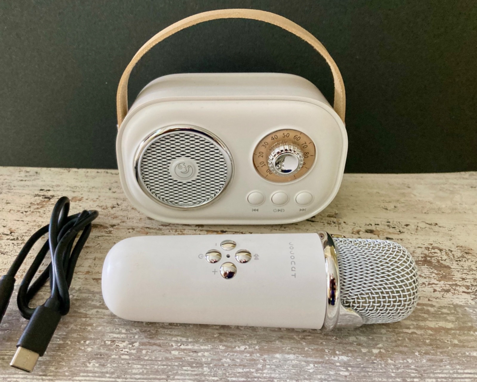 Jojocat karaoke microphone and bluetooth speaker set with charging cable
