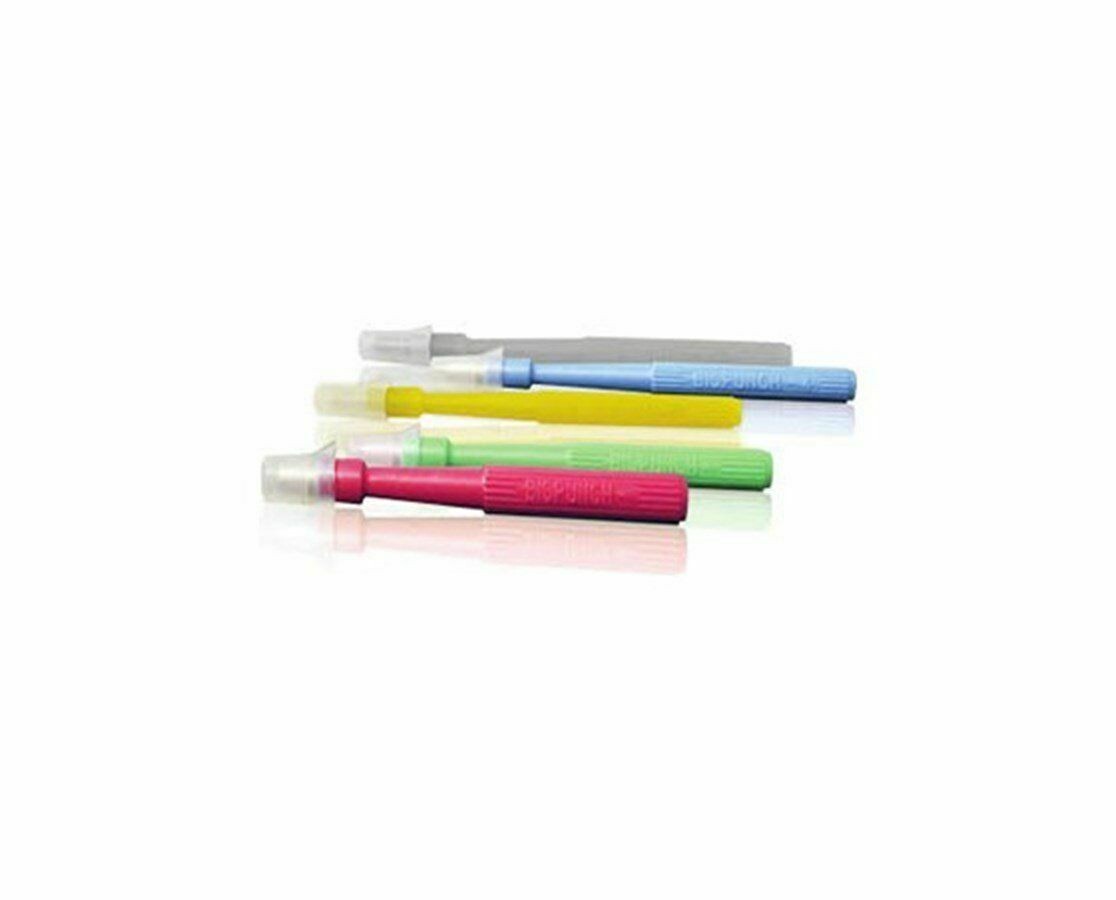 10pc/Box Biopsy Punch Disposable Sterile Dermal Pierce Sealed Punches Tools
