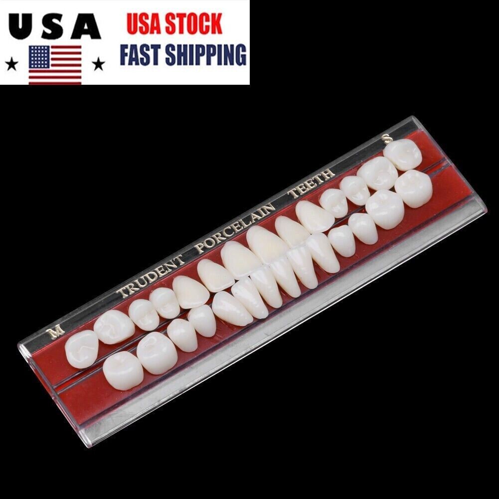 2 Set Dental Porcelain Dentures Material Alloy-Pin Teeth Colors Shade Guide 24#