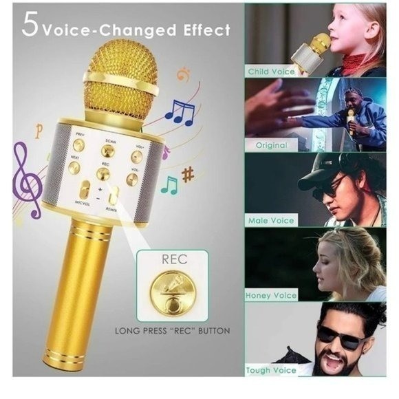 WIRELESS BLUETOOTH KARAOKE MIC & HI-FI SPEAKER-GOLD.