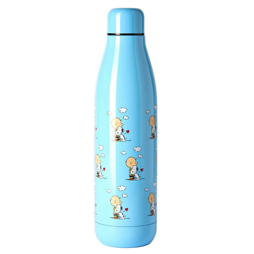Peanuts Snoopy Stainless Steel QuyCup Insulated Water Bottle (Hug to Charlie ...