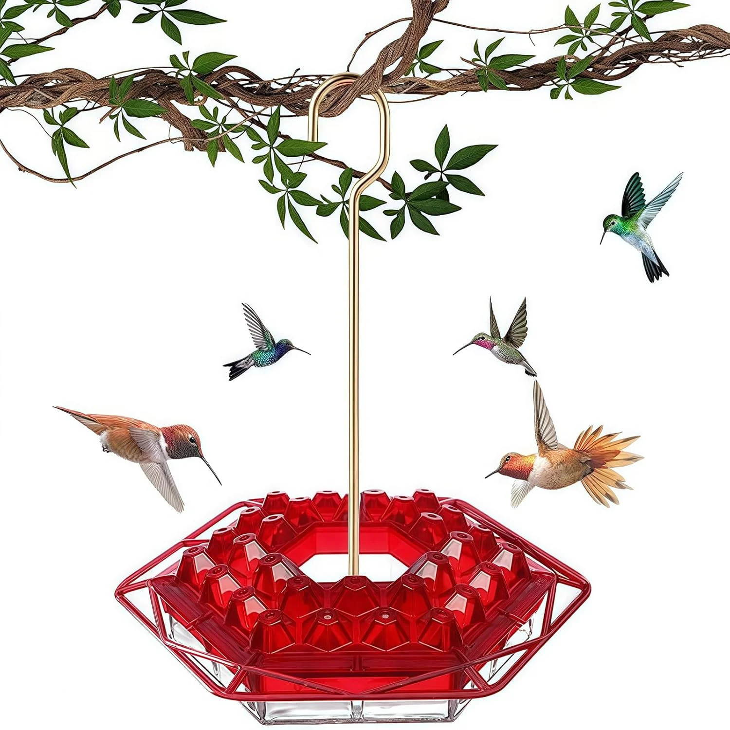 Hummingbird Feeder with Ant-Proof Moat Hummingbird Feeder, Easy to Clean and Ref