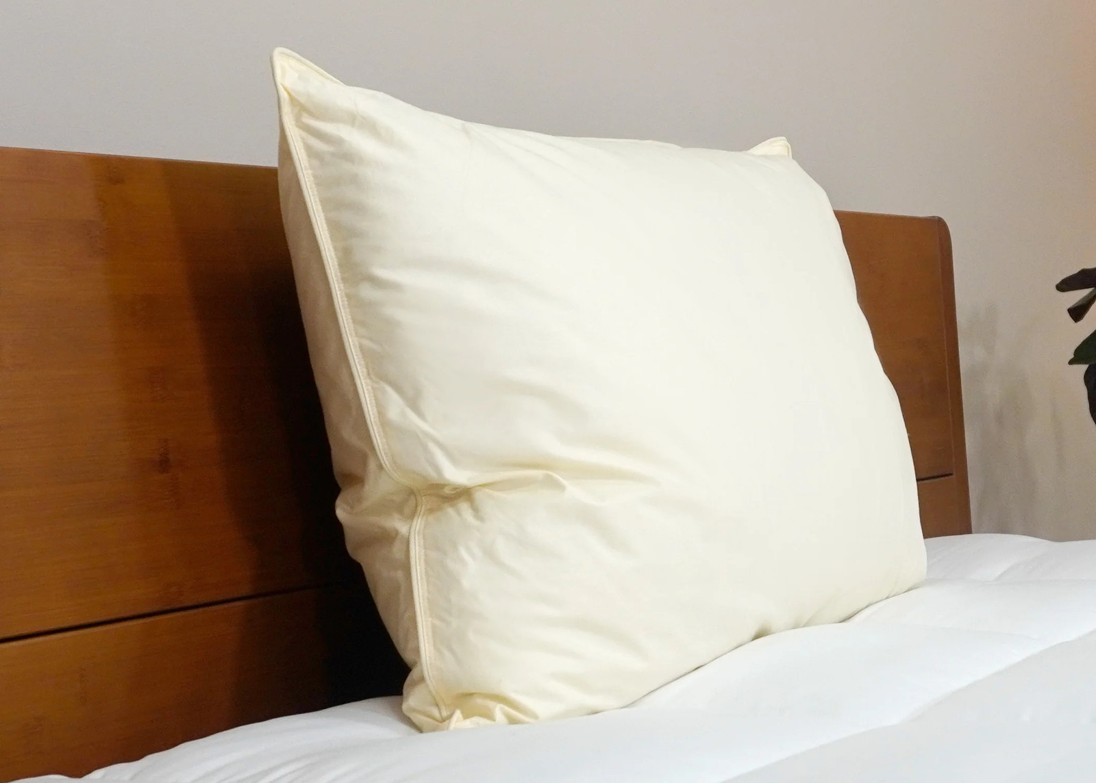 Down Etc. Aquaplush Pillow
