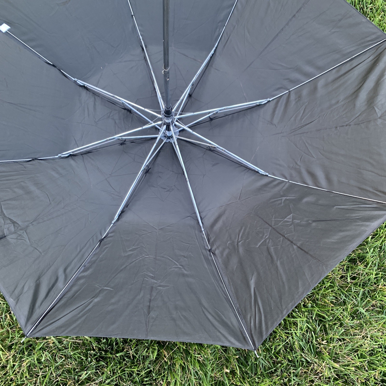 Conch Compact Folding Black Umbrella and Case