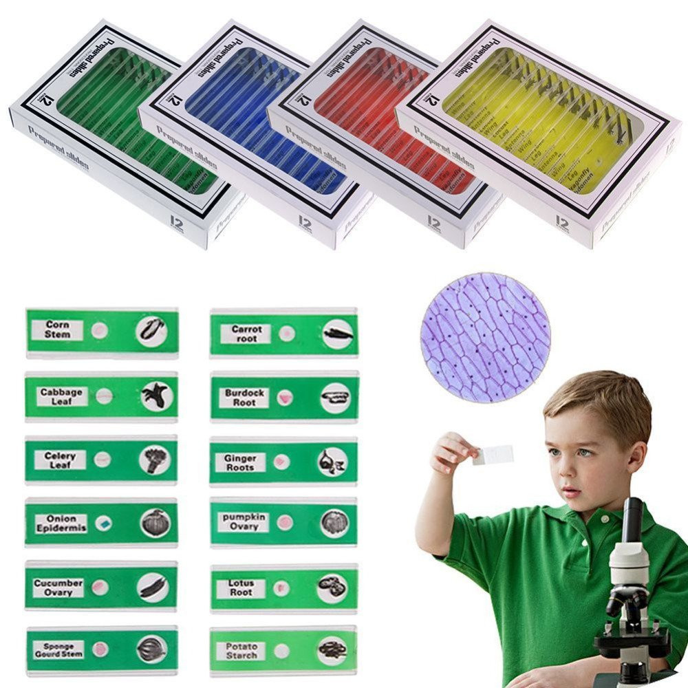 Prepared Microscope Slides, 48pcs Plastic Animals Insects Plants Flowers Sample