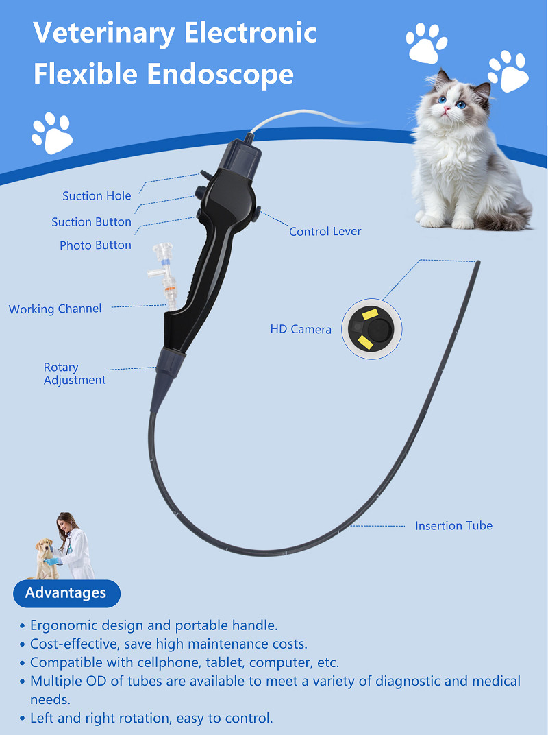 Vet Use USB Disposable Electronic Flexible Endoscope 650mm Support Phone Pad PC