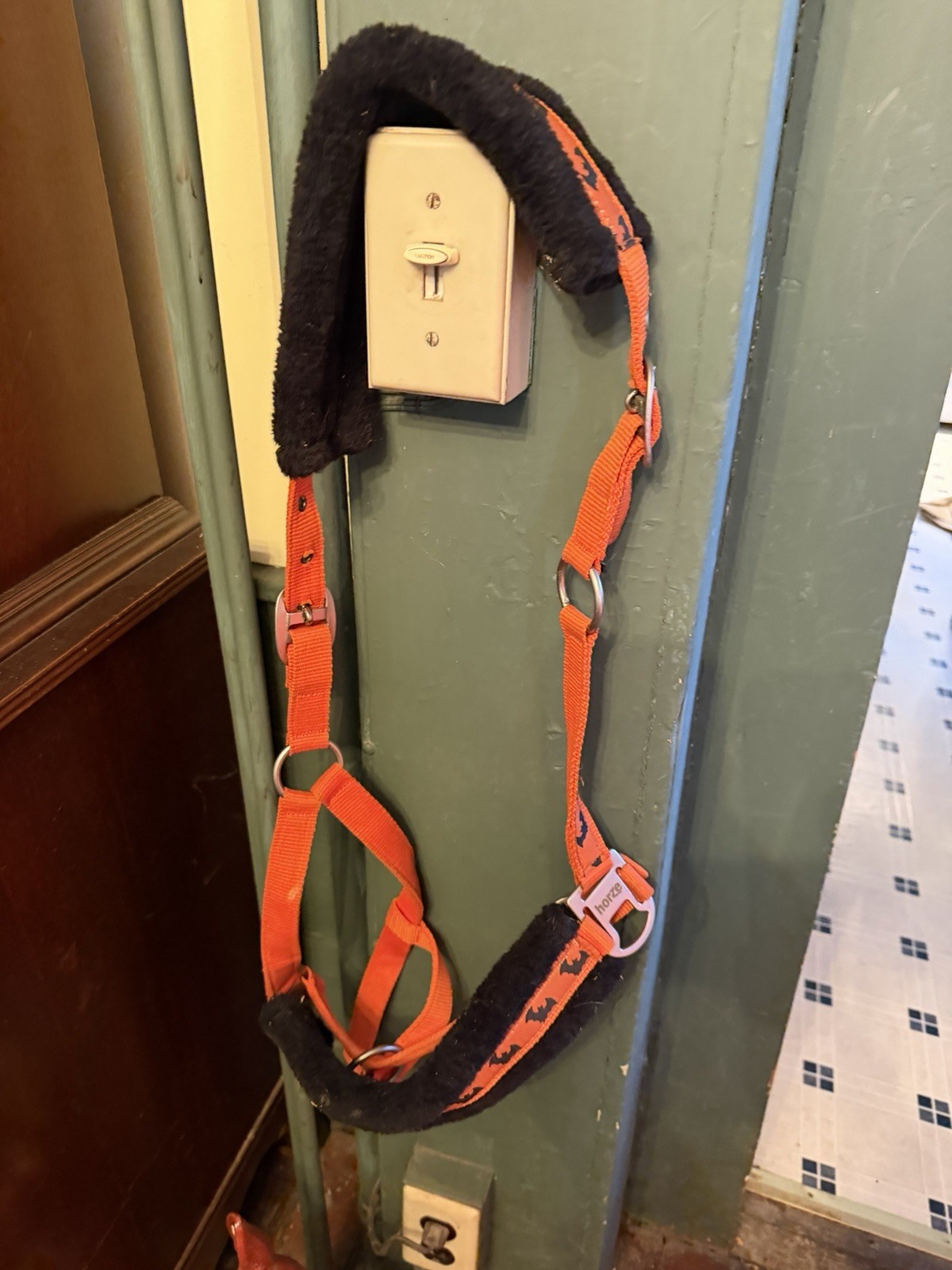 Halloween Orange Horze  Halter With bats Full/Horse