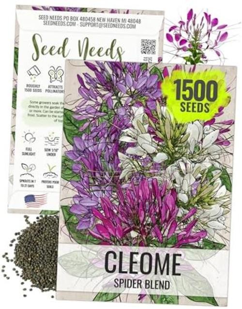 Cleome Seeds for Planting Mixed Annual Flowers - 1 Pack