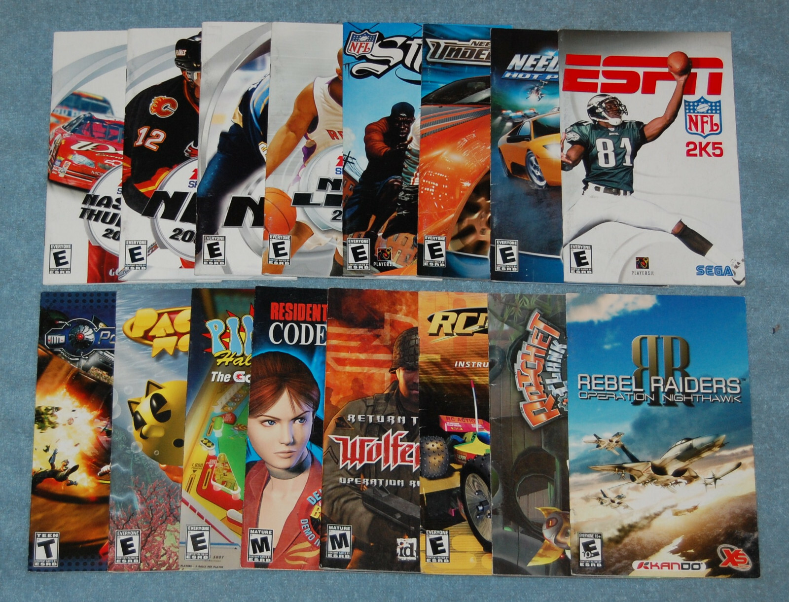 Gun Sony Playstation 2 Manual (Manual Only)