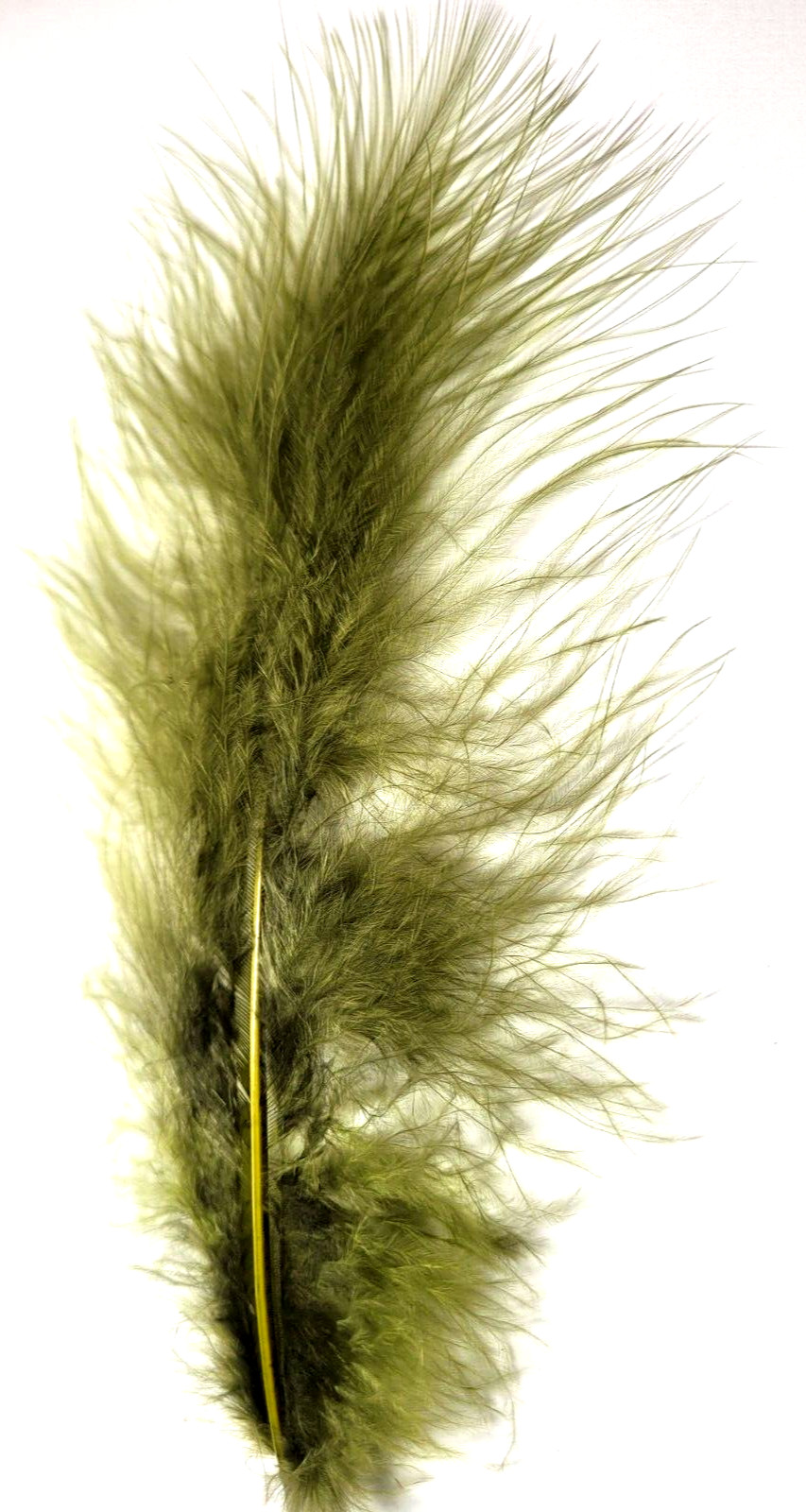MARABOU PLUMES - SELECT - Fly Tying Feathers - OLIVE - Woolly Bugger - 12 pc.