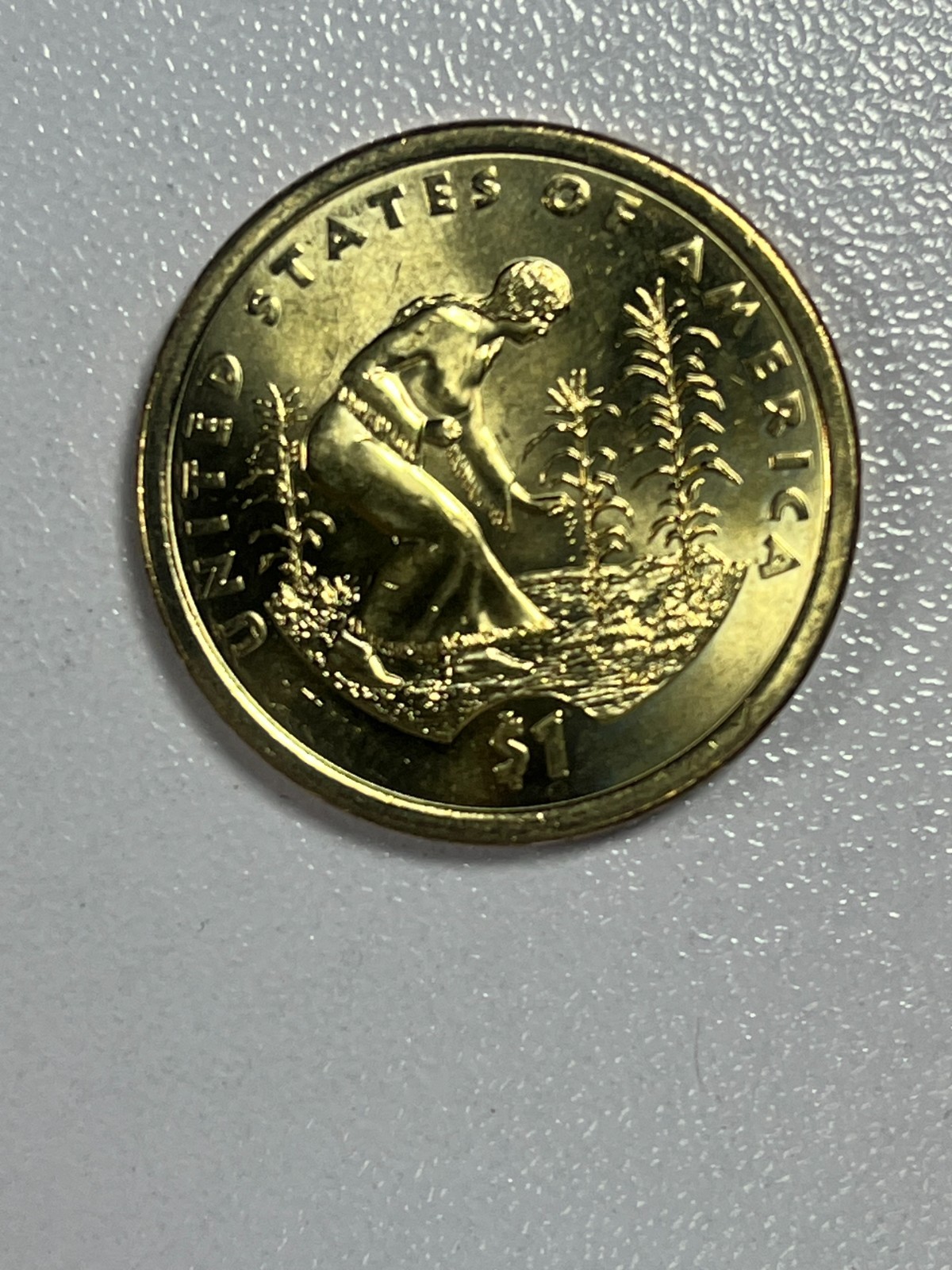2009-D Sacagawea Native American 3 Sisters Tree Planting Dollar