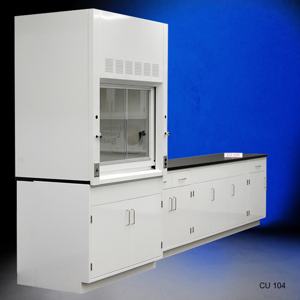 Fisher American 4' Fume Hood / Storage & 10' Laboratory Cabinet Group / E1-216