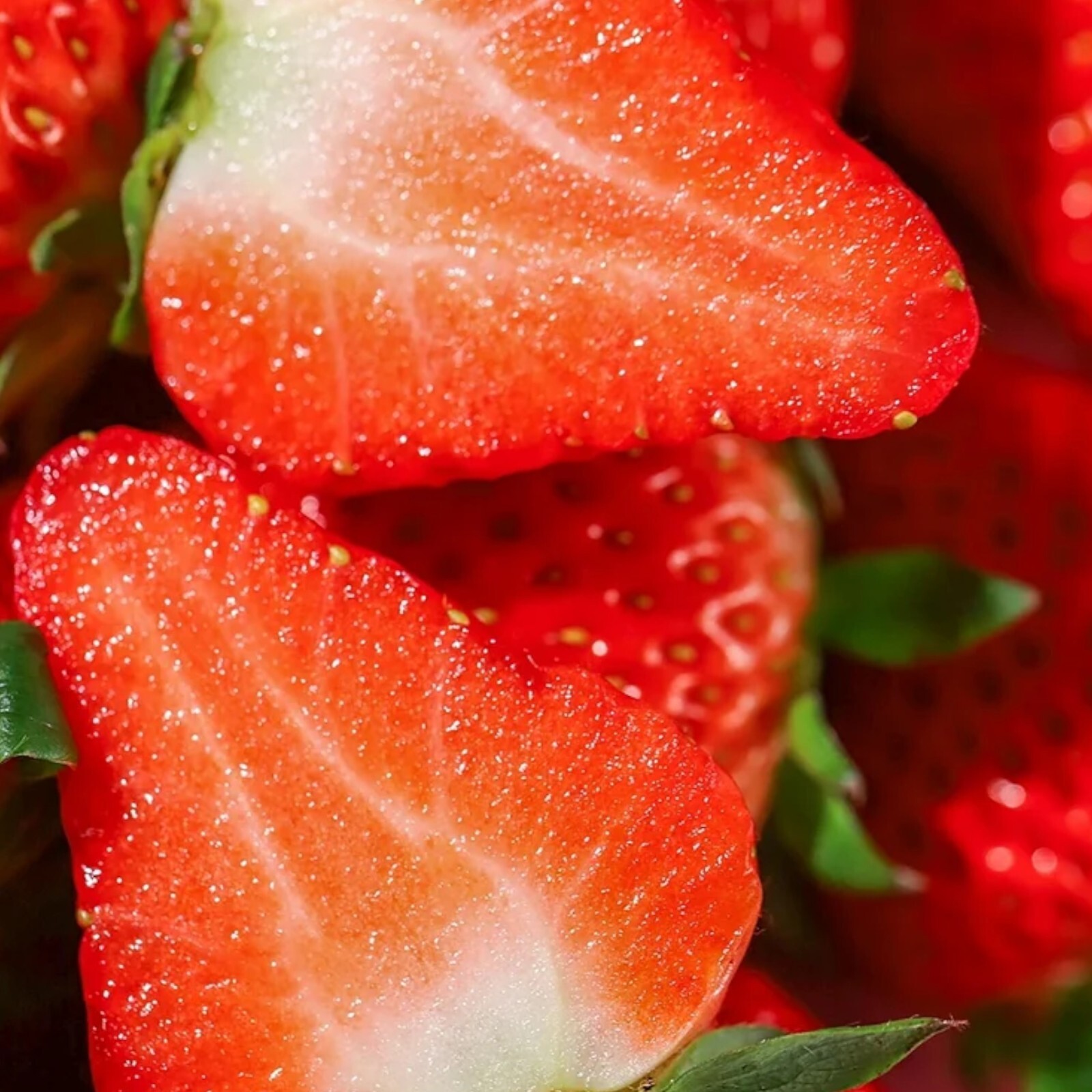 Cream Strawberry Seeds – 200 Seeds – Non-GMO Perennial Variety for Garden Beds