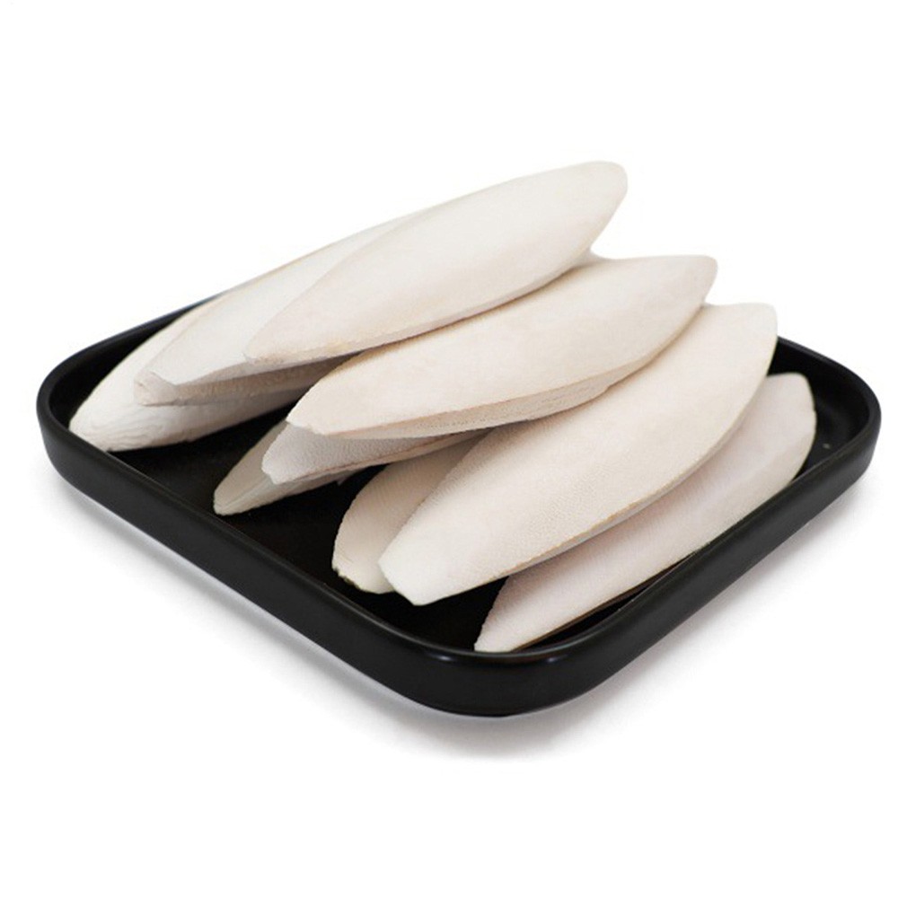 10PCS Cuttlebone Cuttlefish Bone Sepia Cuttle Fish Pet bird food Calcium Set