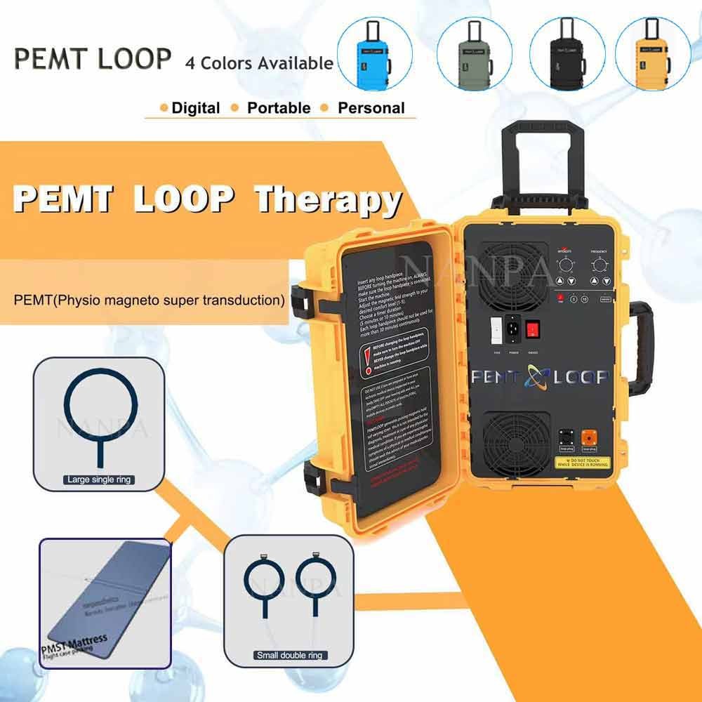PEMF Electromagnetic Field Physio Magnetic Therapy Machine With PEMF Mattress