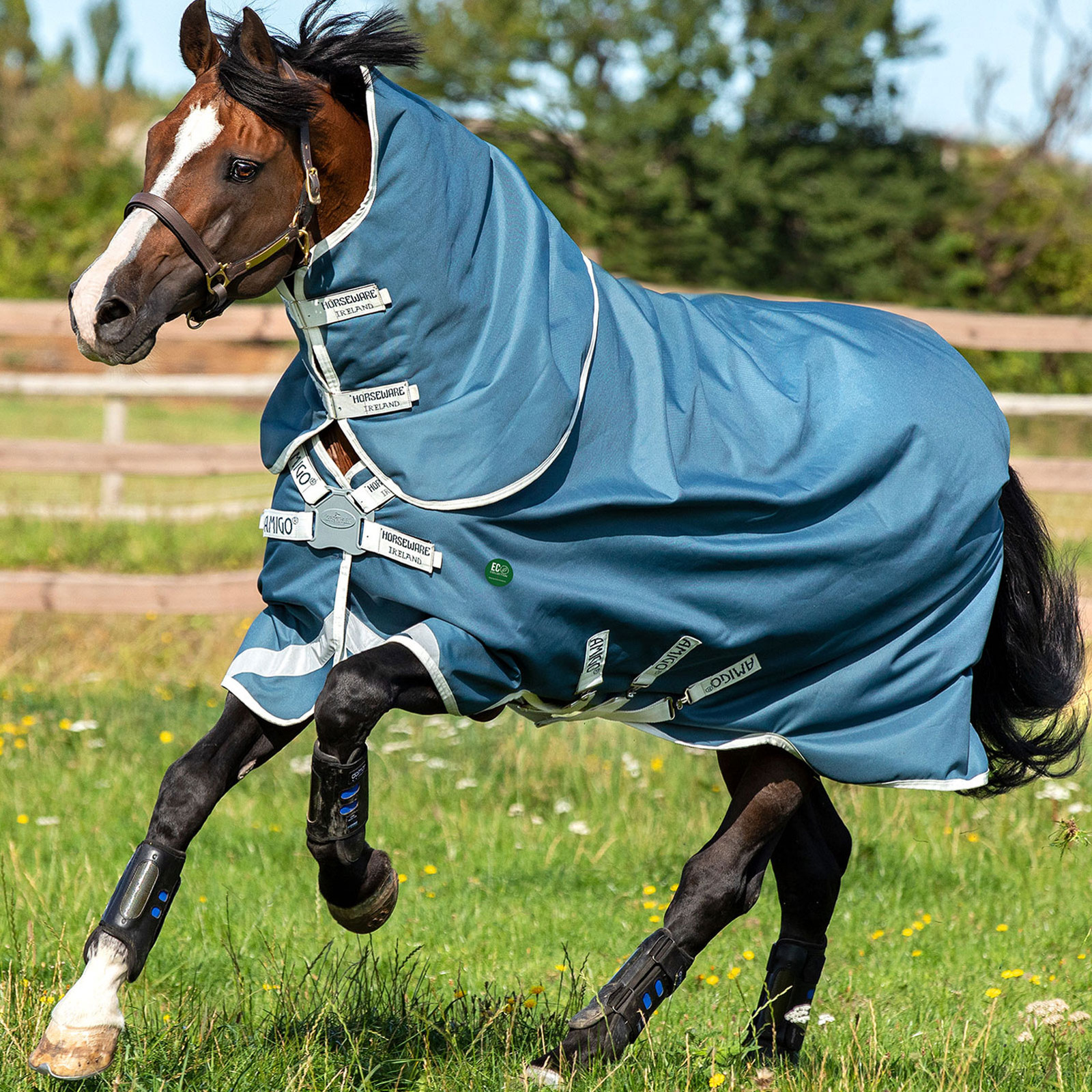 HORSEWARE IRELAND AmEco 1200D Plus 0g Teal/Gray Turnout Blanket (AAROJ0-CTJ0)