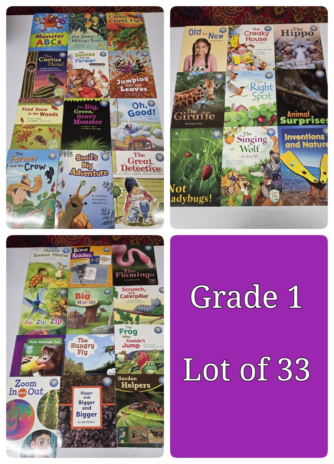 Grade 1 - Lot of 33 Books - FOUNTAS & PINNELL Shared Reading  Readers Homeschool