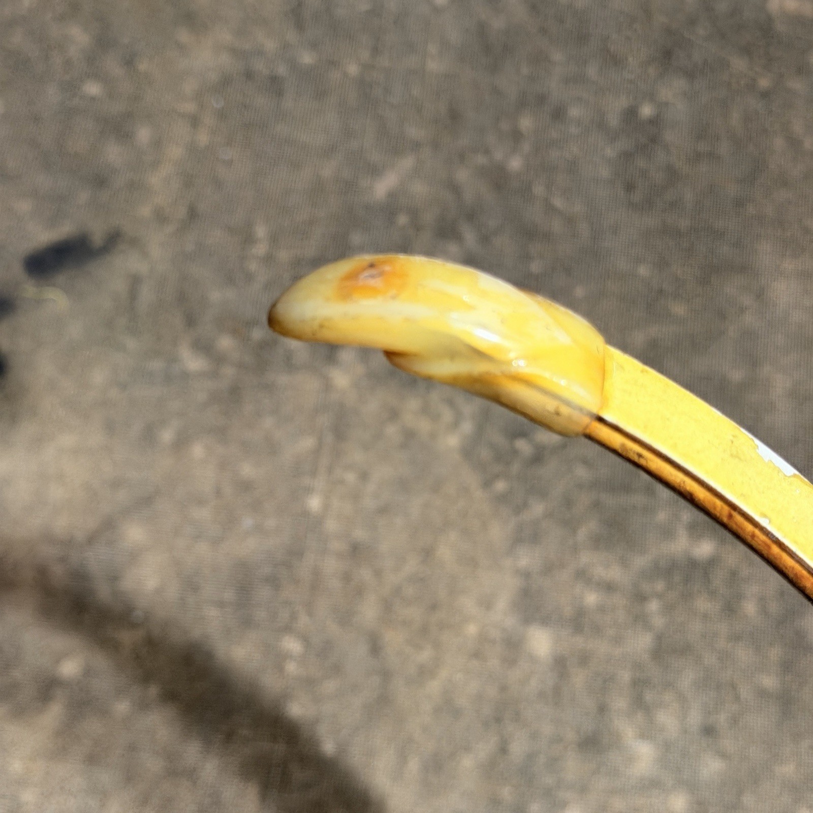 Vintage Wasp By Blackhawk Recurve Bow