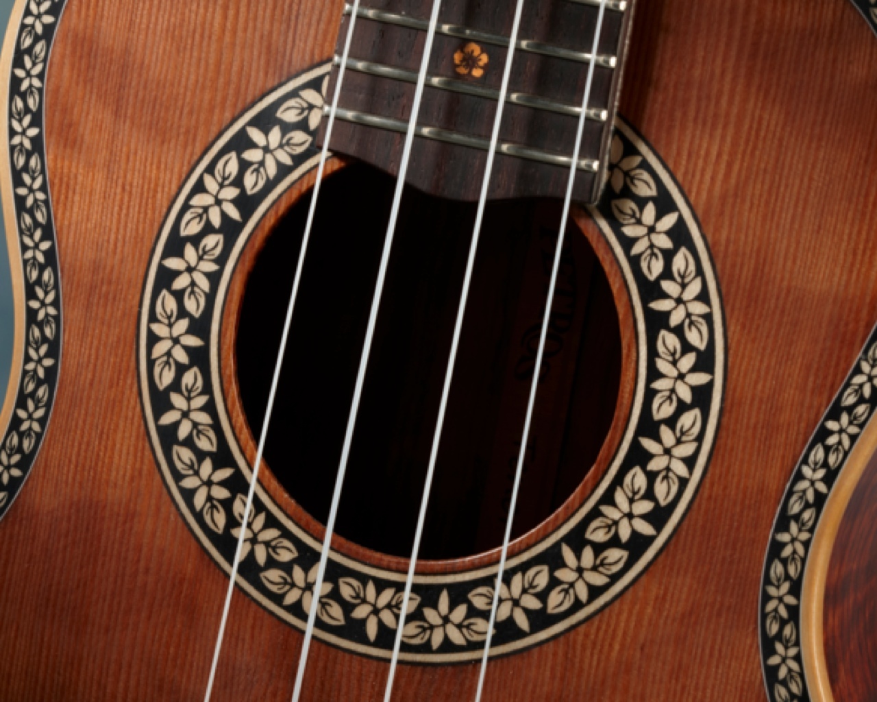 Ukulele Rosette, Florentine 5