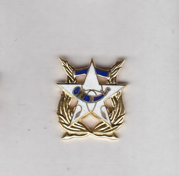US Army BAND 1 inch screwback crest DUI badge G-23