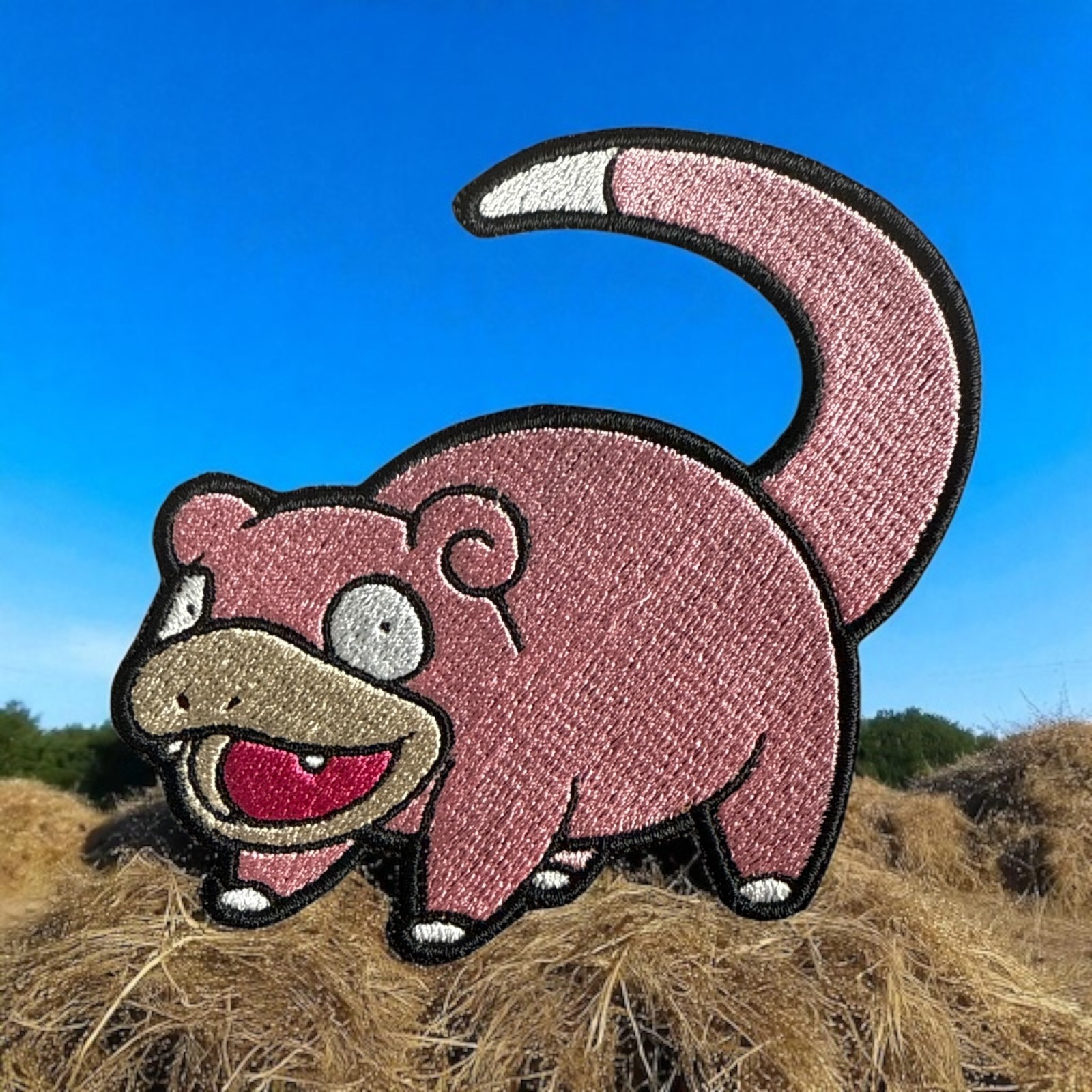 Slow poke Pokémon Patch 4.03 X 4.26