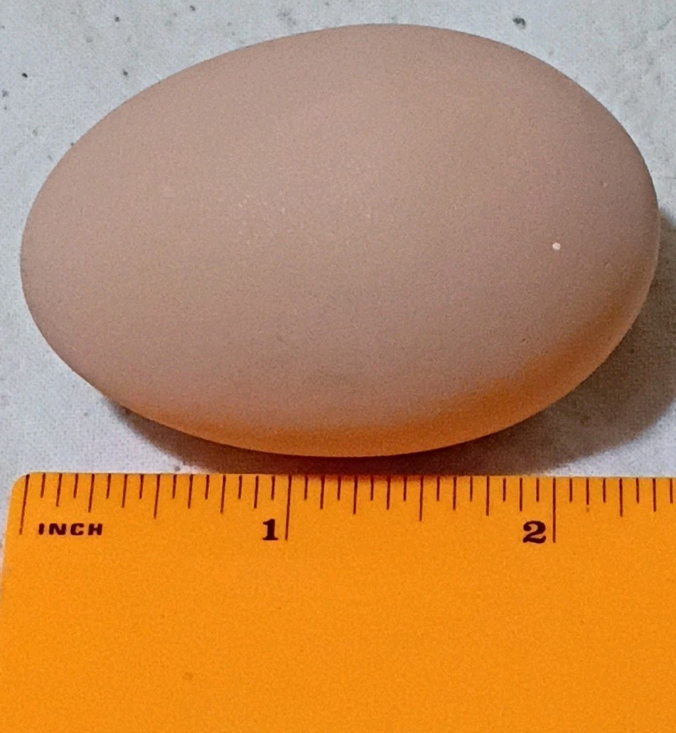 Set Of 10 Polymer Chicken Eggs B9