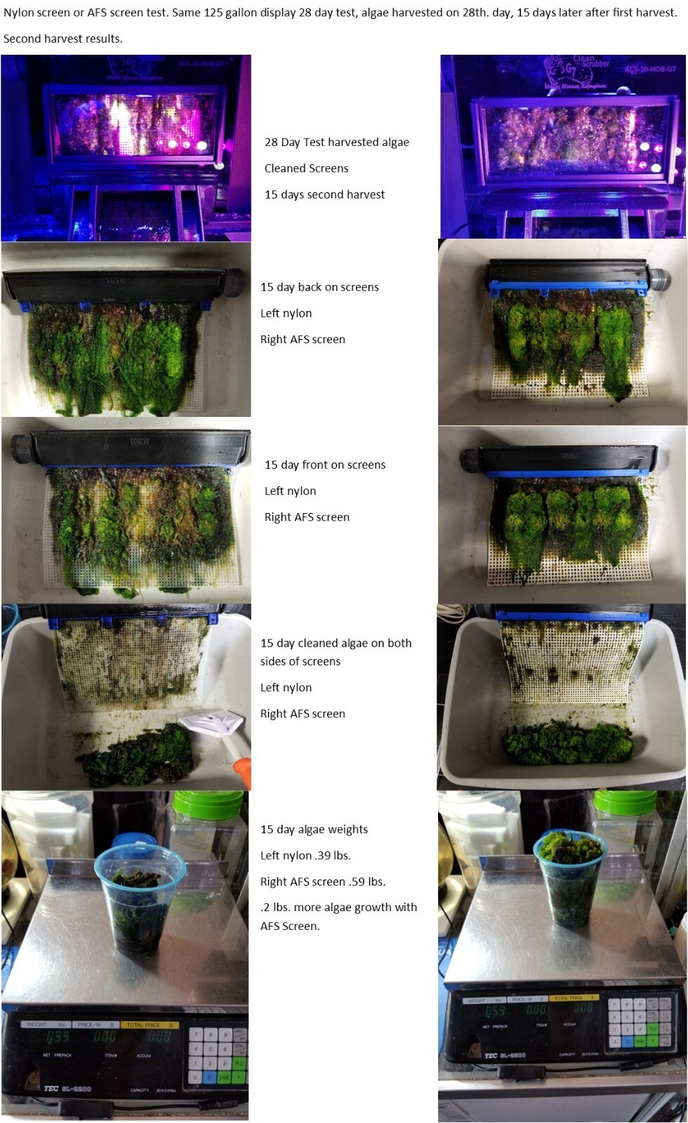 Algae Clean Scrubber Replacement WSR-S7 Algae Flex Screen.