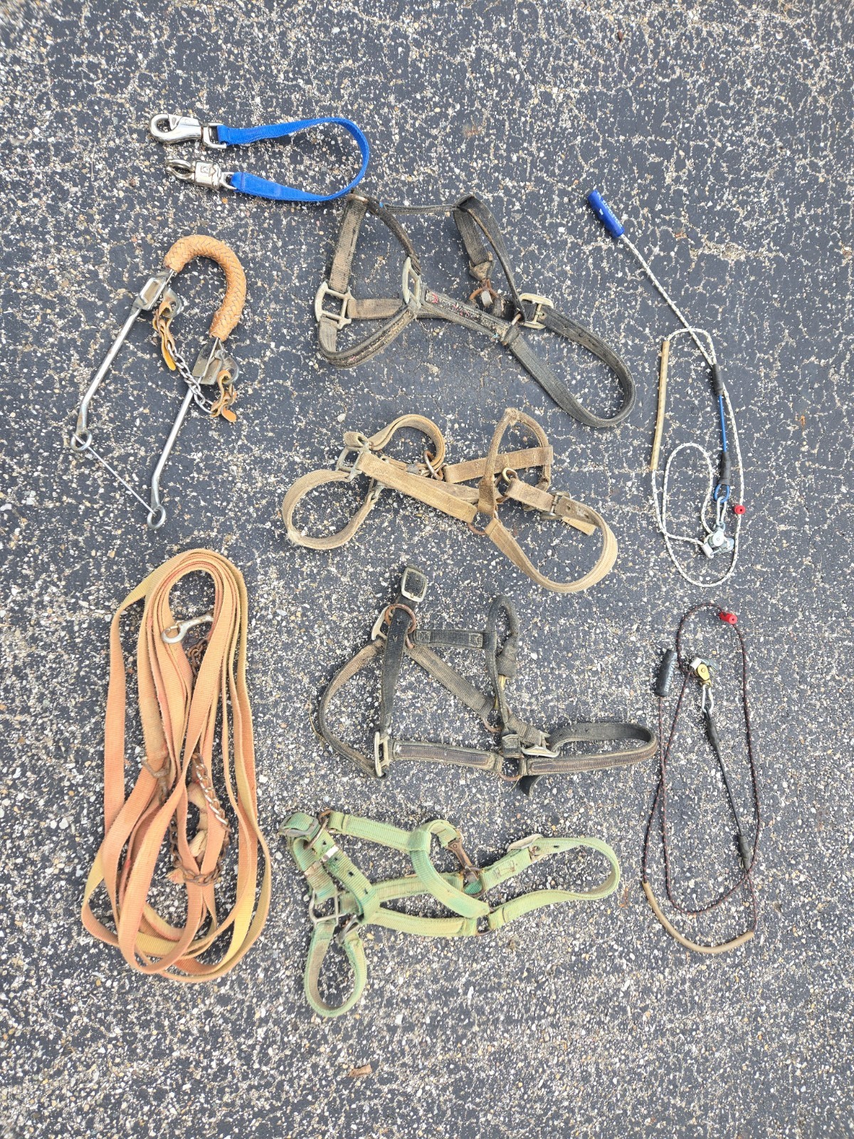 Lot Of Used Stableizers Horse Halters, Hackamore, Trailer Tie, Longe Line