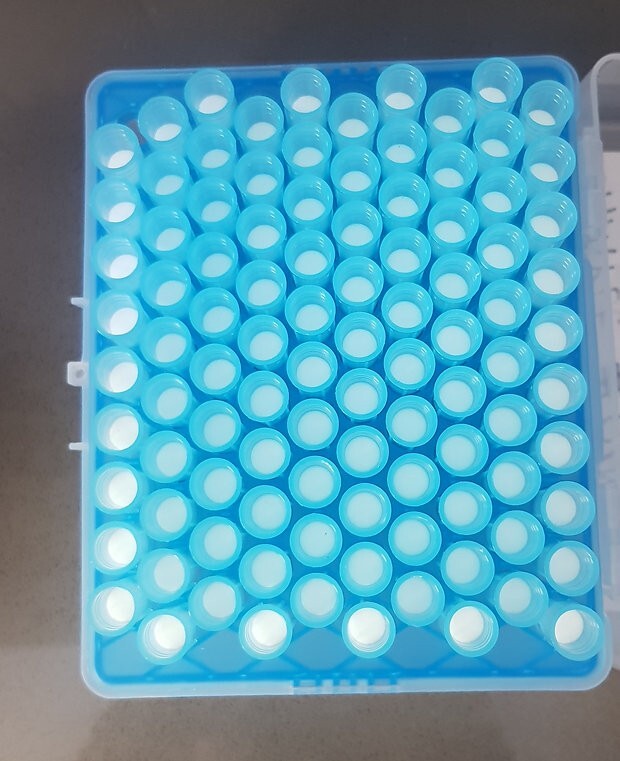 Pipette tips filtered 1250ul (Sterile, 50 racks, 4800 tips)