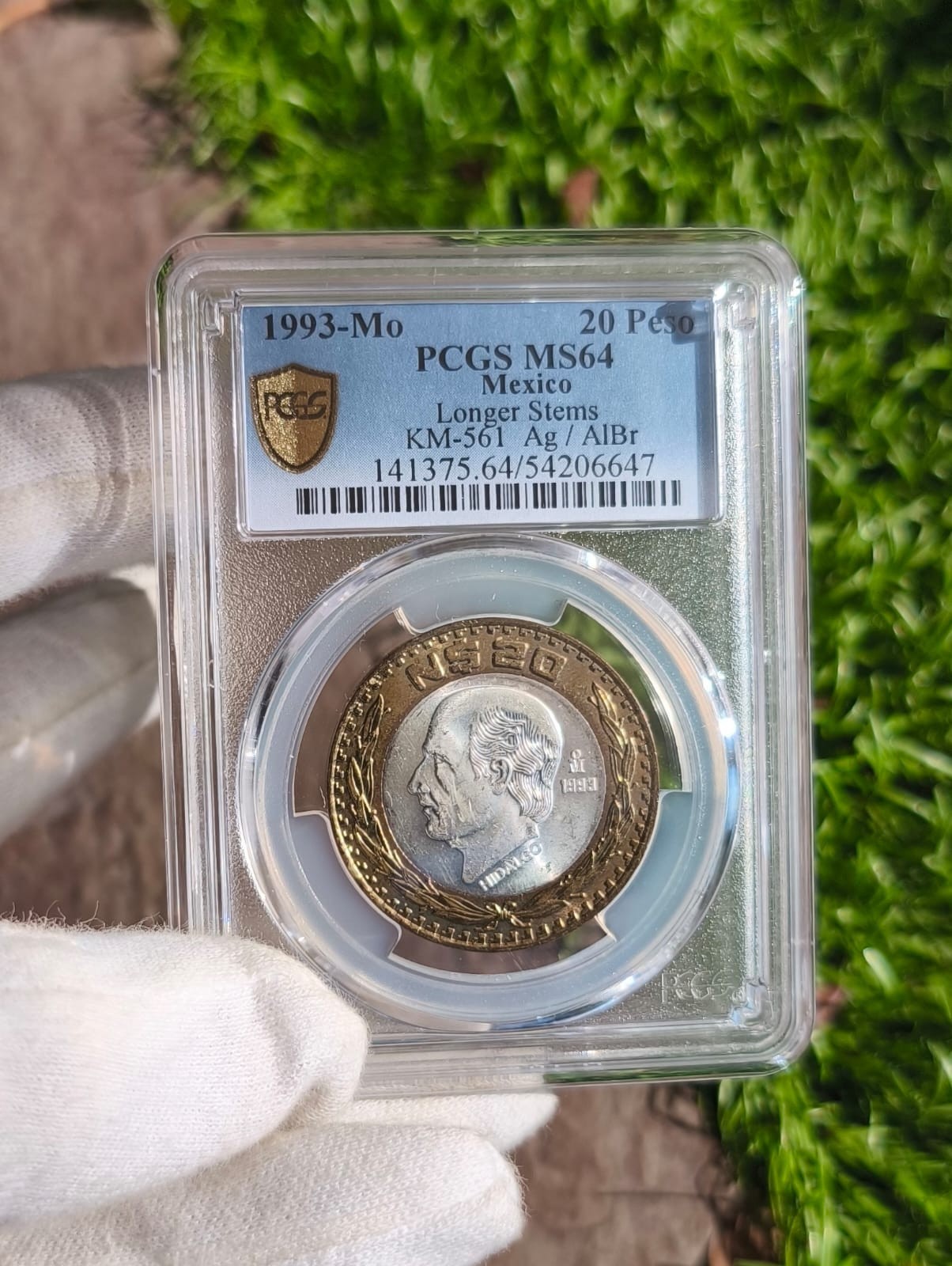 20 NUEVOS PESOS 1993 MS64