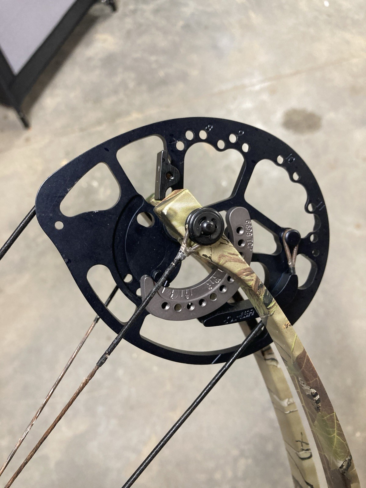 Bear Anarchy HC 50-60
