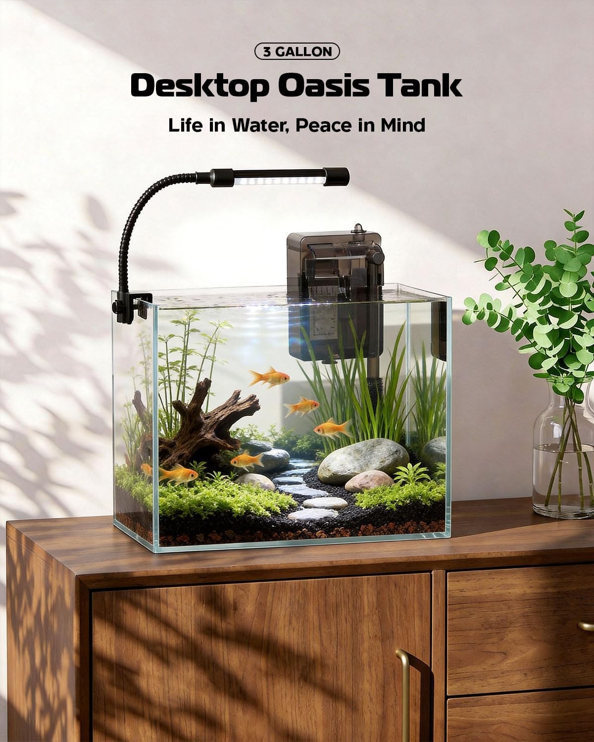 Glass Fish Tank Kit, 3 Gallon Betta Fish Tank Aquarium Starter Kit with Filte...