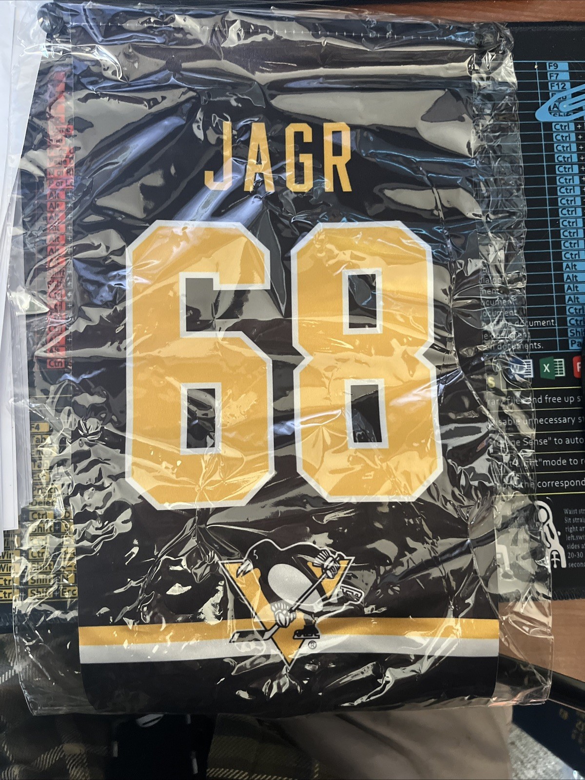Jaromir Jagr Banner - Celebrate 68 - Pittsburgh Penguins SGA 2024 - SEALED & NEW