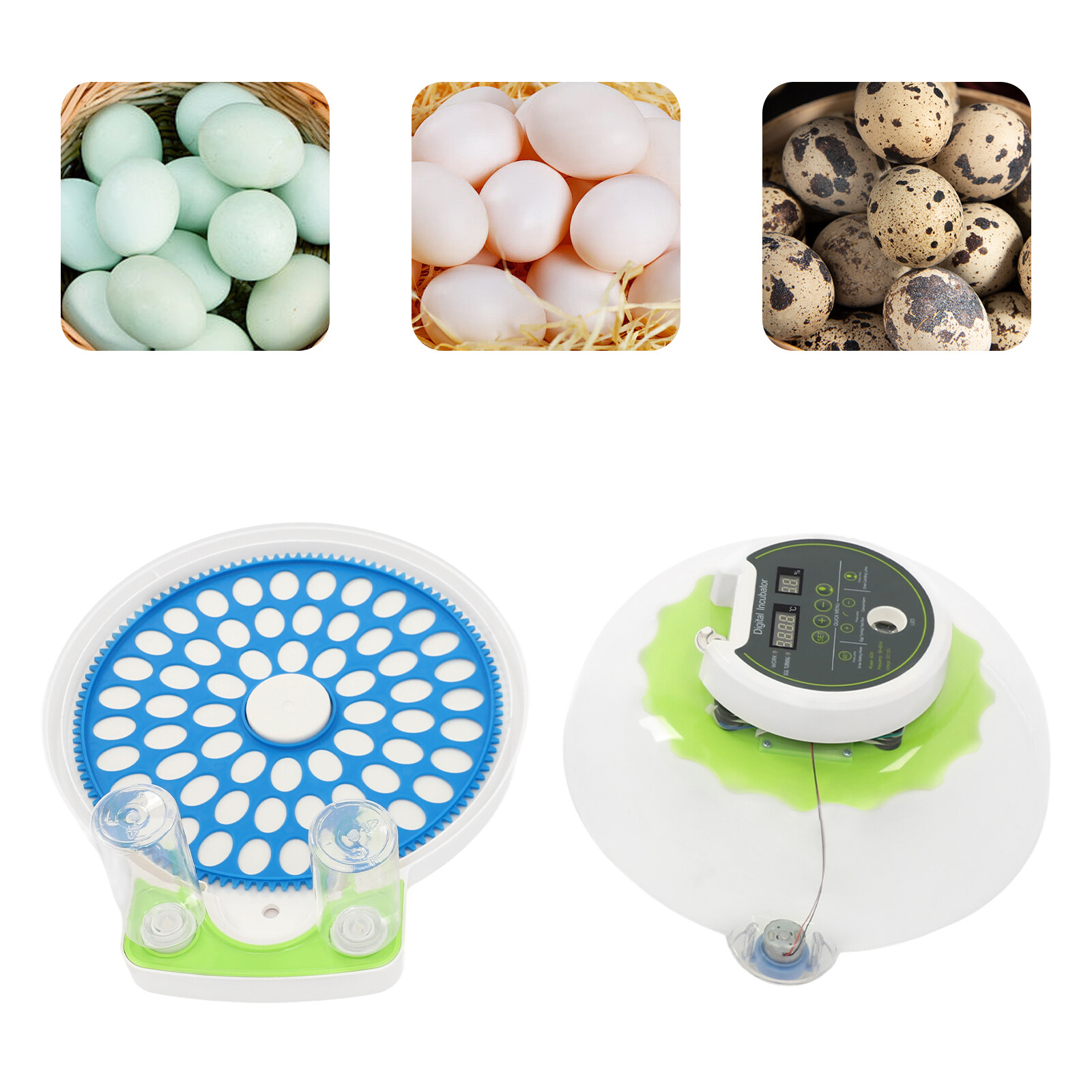 60-Egg Brooder Incubator Quail Poultry Eggs Hatching Machine Free Standing