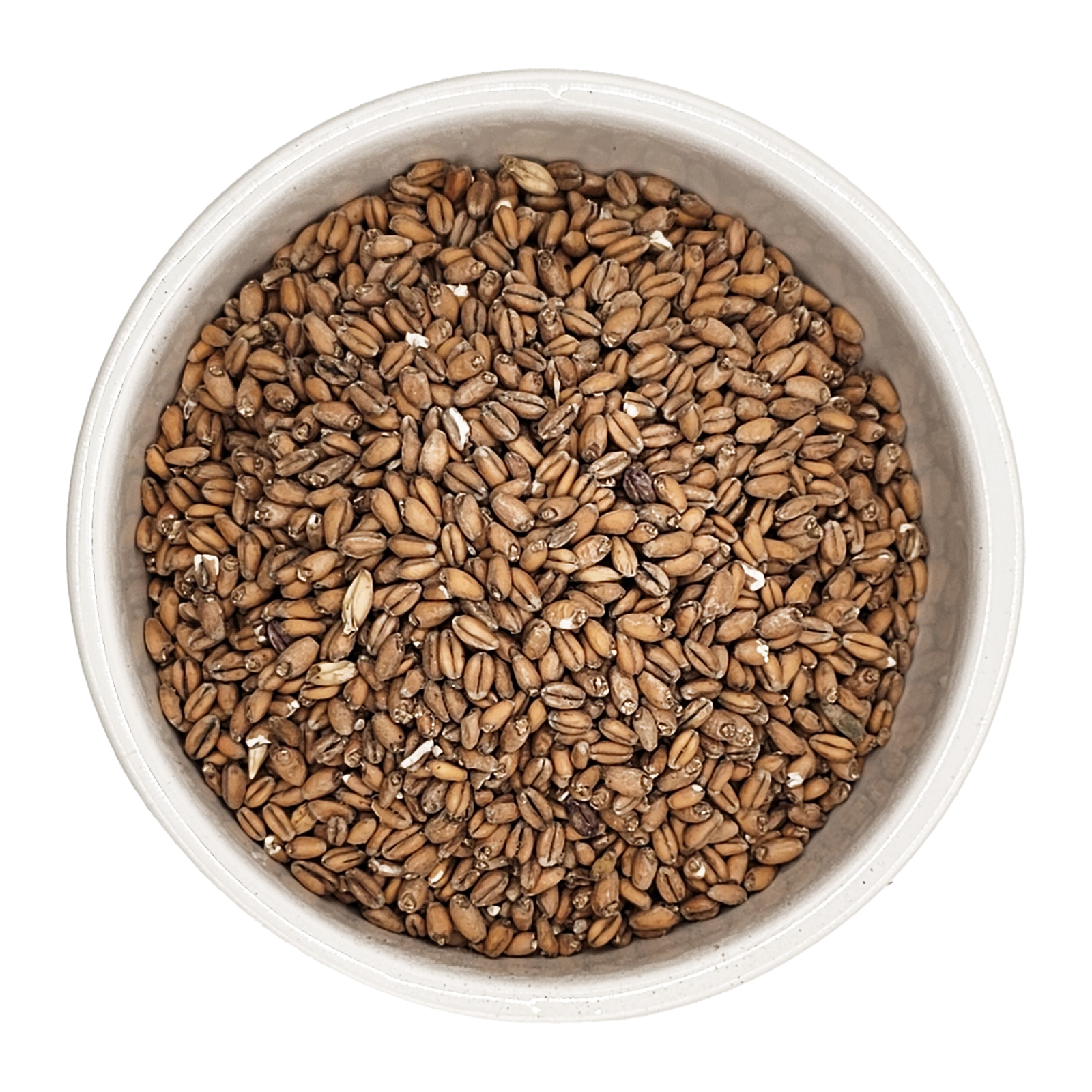 Home Brew Ohio Red Wheat Grain 10lb