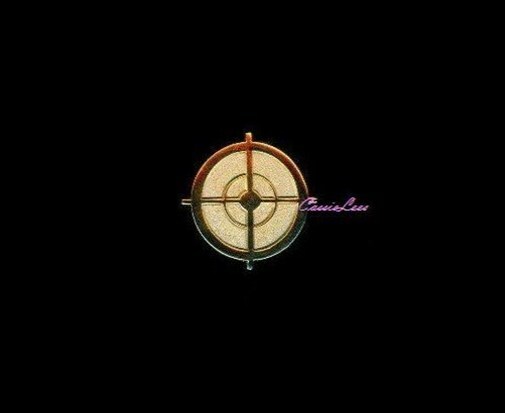 VN Sniper Scope (goldtone) + a custom promo pin
