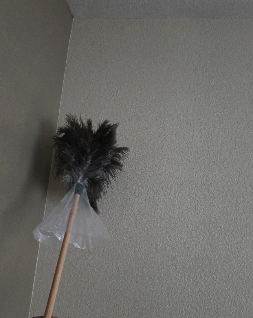 16 Inch Handle Ostrich Feather Duster