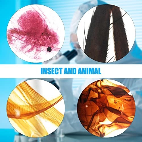 100 Pcs Prepared Microscope Slides Set for Kids, Home School Science Learning
