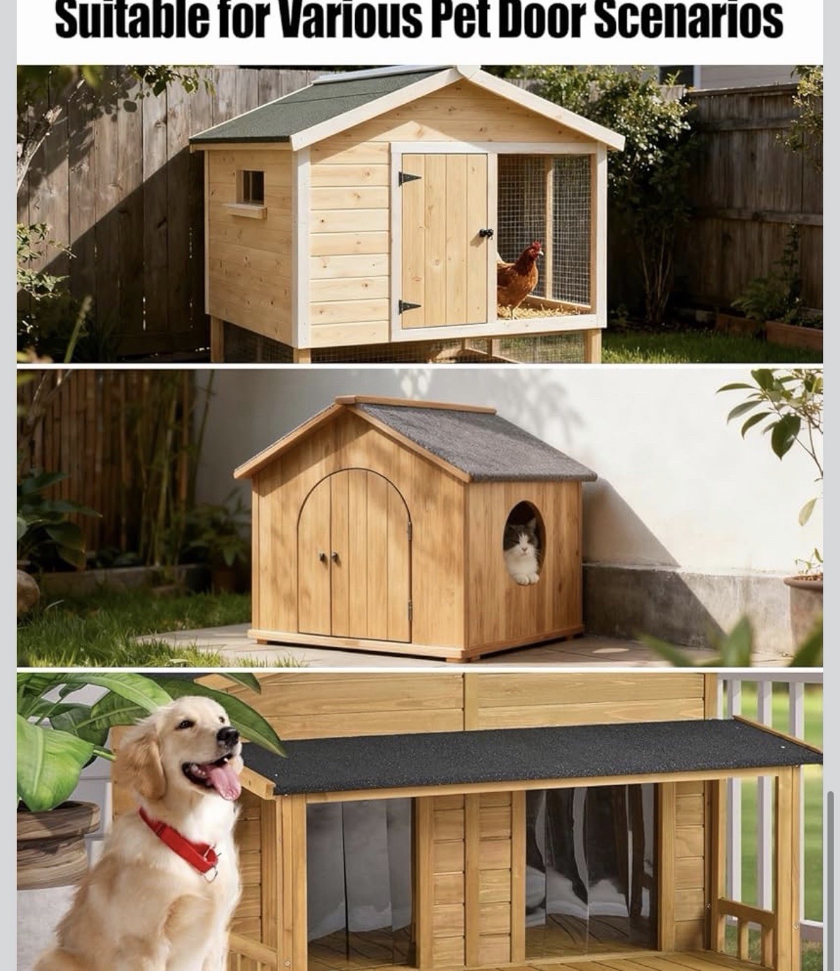 Smart Chicken Coop Door Opener with Timer