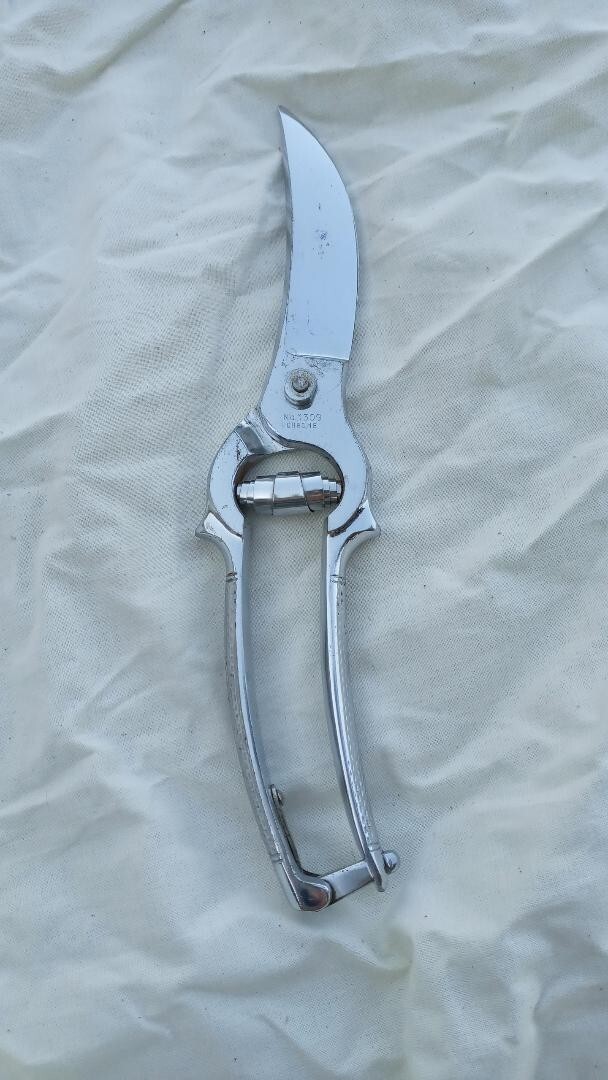 Wiss Germany #1309 Chrome Poultry Shears with Toggle Lock 9"