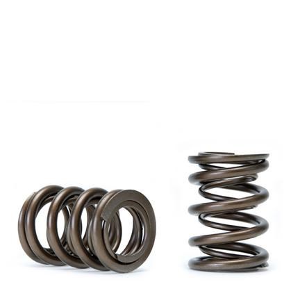 Skunk2 311-05-1350 Alpha Dual valve spring set for Honda Acura B16A B18C B17A