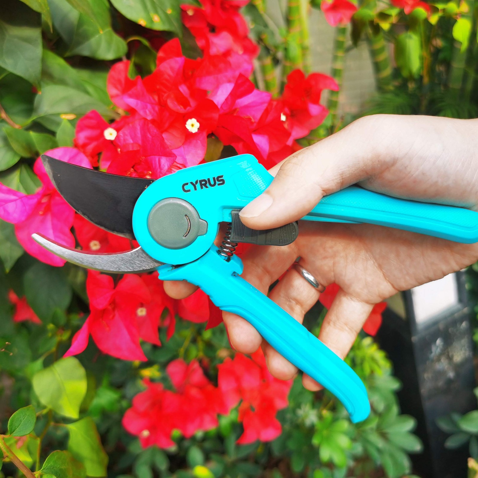 CYRUS 8 Inch Pruning Shears, Professional Garden Shears with 30*25*3cm, Blue
