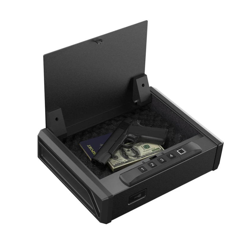 RPNB RP19001F Pistol Safe with Biometric Fingerprint Lock for 2 Pistols