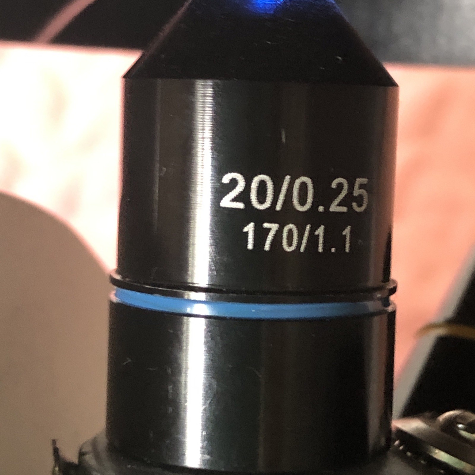IQCrew Amscope TELMU Inverted Microscope
