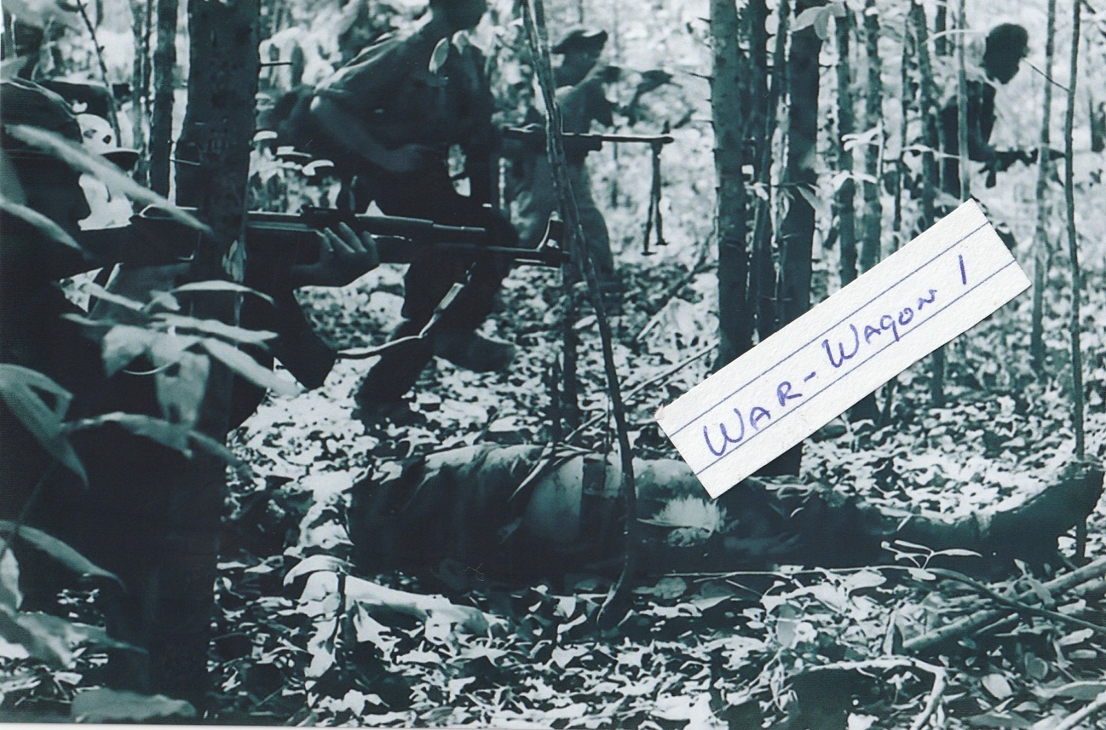 Vietnam  War  Photo --     VC   Soldiers In Jungle