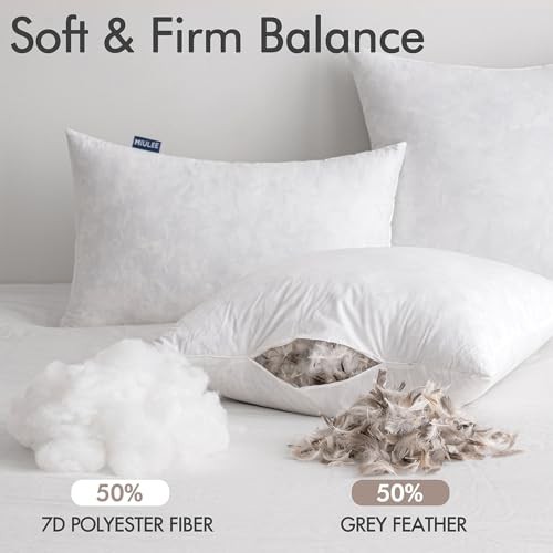 Euro Pillow Inserts 24x24 Inch Set of 2, Feather Mix 24x24 Inch (Pack of 2)