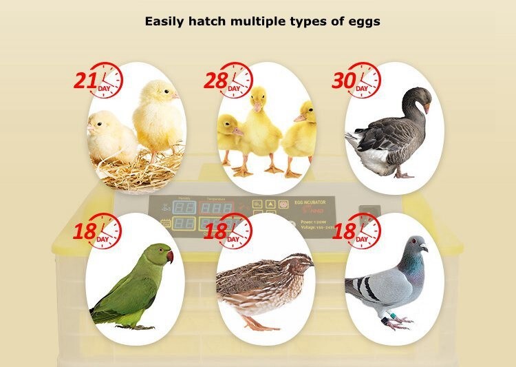 110V 48 Eggs Fully Automatic Egg Incubator Chicken Hatching Equipment