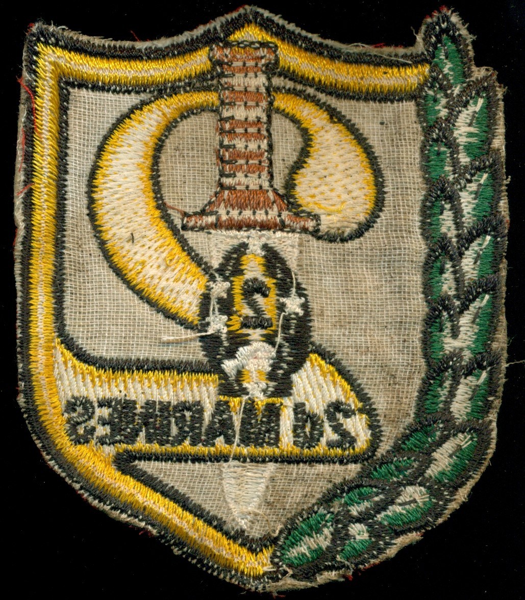 USMC 2nd Marines Vietnam Patch VT-11