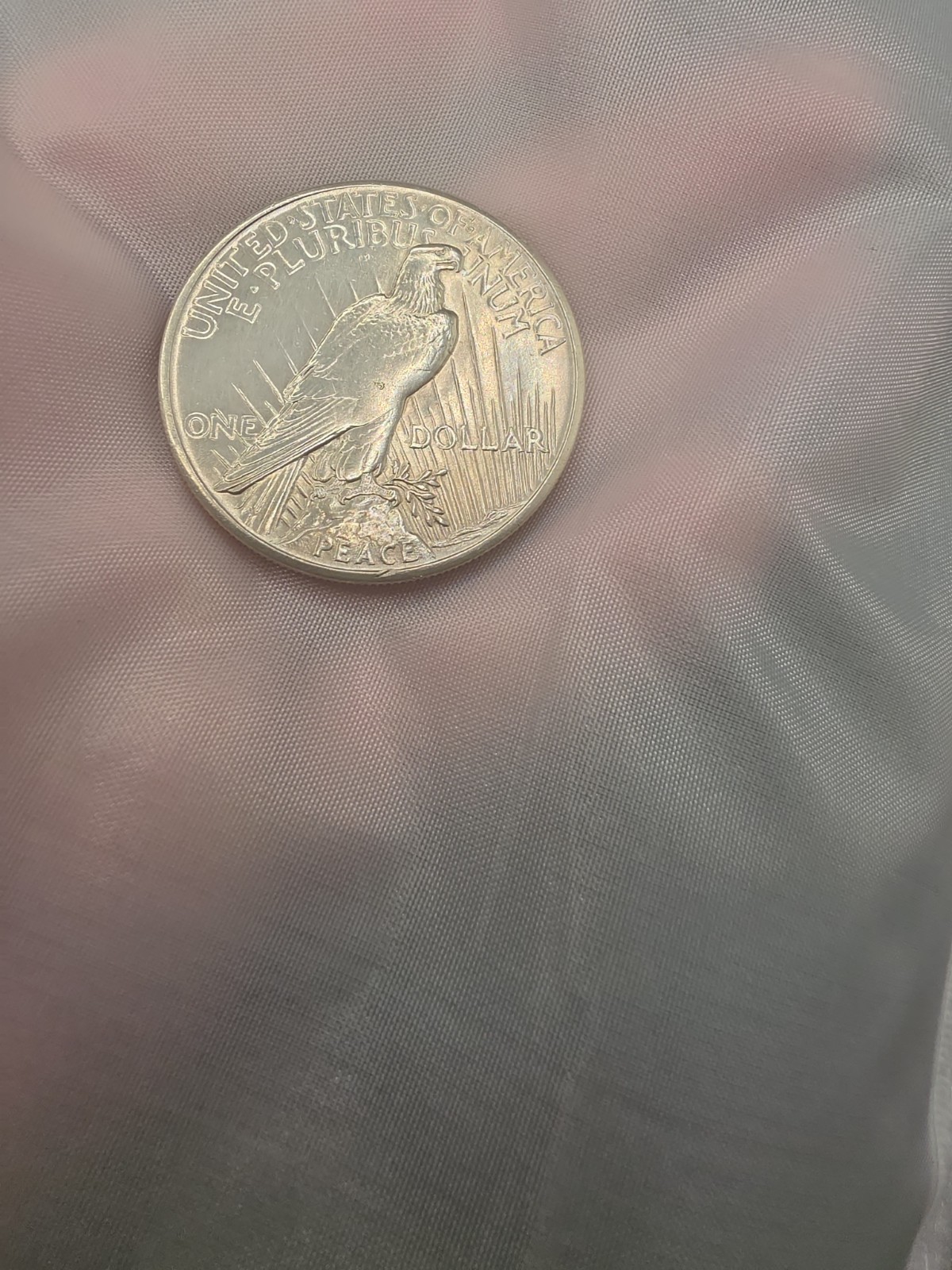 1921 high relief peace dollar LUSTER!!
